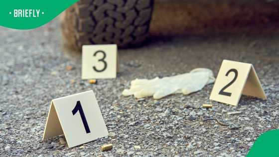SAPS investigating after 3 men killed in shooting in Hout Bay