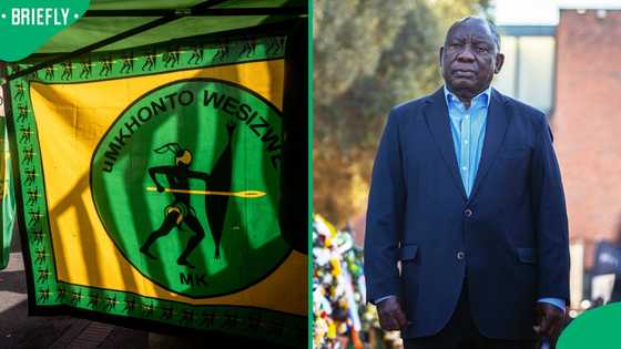 MK Party questions President Ramaphosa's swift acceptance of Andrea Johnson's resignation, SA reacts