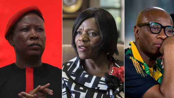 FW De Klerk: Malema posts cryptic tweet, Zizi Kodwa and Thuli Madonsela trend online after de Klerk's death