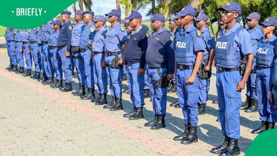 SAPS deploys over 2000 freshly-trained police officers to combat festive season crime