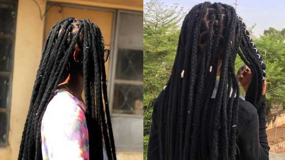 50+ wool hairstyles for ladies you should try out in 2022