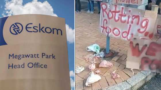 Angry Joburg resident dumps rotten meat outside Eskom after not having electricity for a week