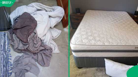 "Disgrace to society": Jeffreys Bay guesthouse calls out guests over 60 who urinated all over room