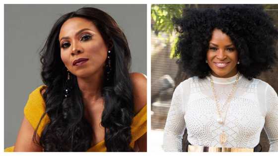Penny Lebyane blames Arthur Mafokate for another muso's failed career
