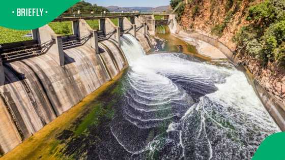 Expert concerned by state of Hartbeespoort Dam's shares warning in TikTok video