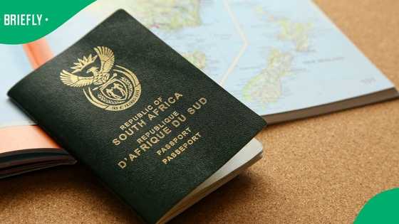 KwaZulu-Natal Home Affairs official sentenced for passport fraud, SA applauds