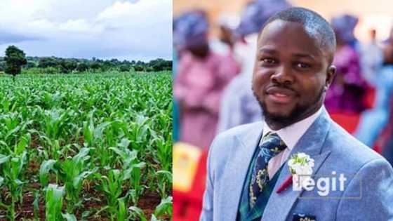 Millionaire farmer, 27, credits granny for teaching him skills from age 10