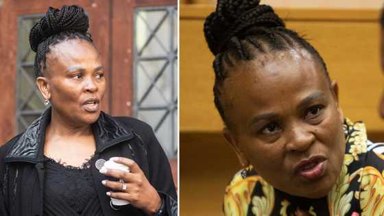 Suspended Public Protector Busisiwe Mkhwebane loses court bid to return to work and probe Phala Phala theft