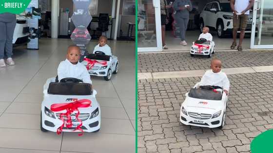 "Just absolutely adorable": 1-year-old twin boys in Mossel Bay get their first Toyota cars