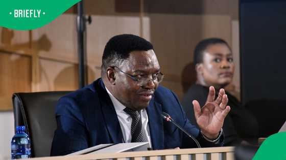 Fannie Masemola's contradictory statements baffle Madlanga Commission of Inquiry