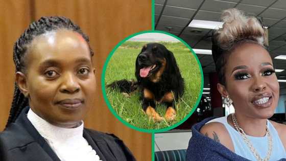 Adv Mshololo hits back at Zandie Khumalo after indirectly naming 'smelly' dog Mlosholo