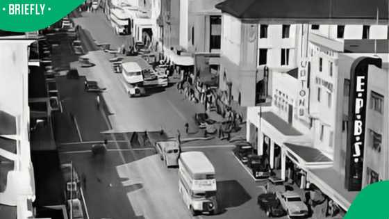 "Once a beautiful city": Throwback photo of 1950s Port Elizabeth leaves Mzansi in their feelings