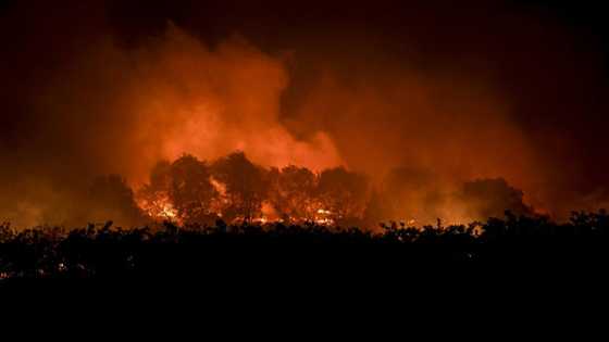 Portugal, Spain struggle to control forest fires