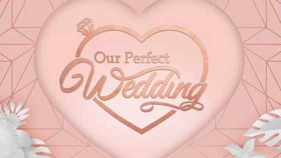 Mzansi Magic Our Perfect Wedding presenters: Exhaustive list