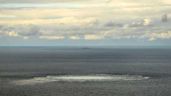 Sweden conducts new Nord Stream crime scene inspection