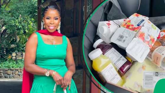 "I send my deepest sincere apologies": SA reacts to lady's luxurious ride with built-in fridge
