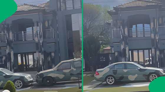"What a legendary family": Driver films rare camouflage mansion and matching cars in Limpopo