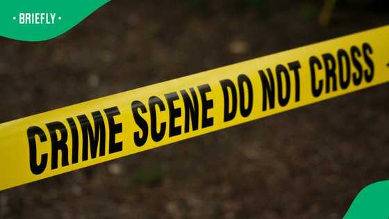 Brown Mogotsi: New details about alleged shooting emerge