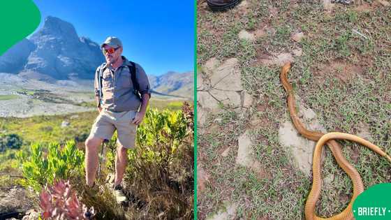"Sincere condolences": Man bitten by Cape Cobra while napping under a tree passes away, SA grieves