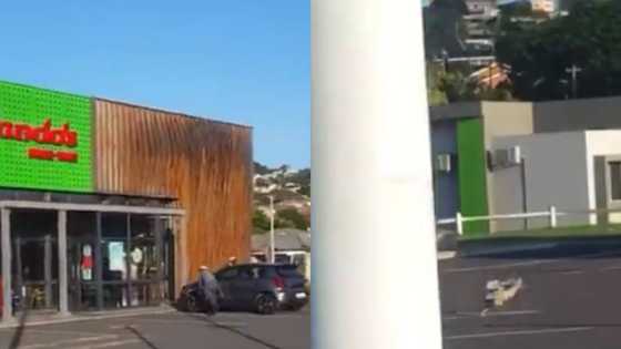 Clip of chicken making a run for it from Nando's leaves Mzansi howling