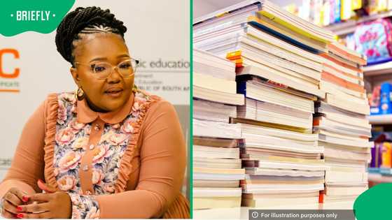 Siviwe Gwarube says National Treasury to investigate R1.6 billion textbook tender