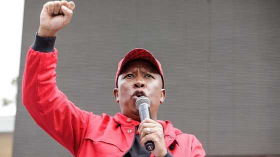 Julius Malema’s controversial comments lands him in hot water: "I mean it", citizens call for politician’s arrest