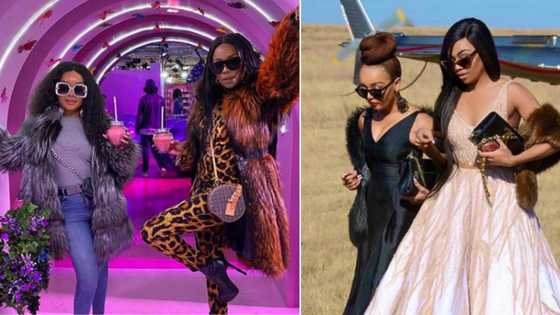 Bonang Matheba and Pinky Girl unfollow one another on social media