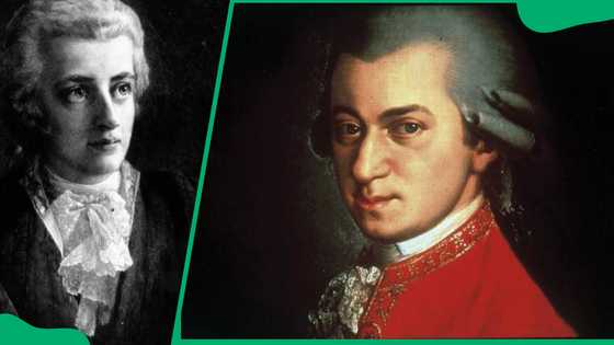 How did Mozart die? Insights into the composer's mysterious demise