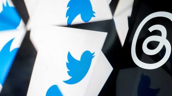 Twitter rivals pile up with Meta's Threads launch