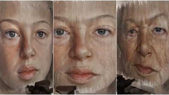 Incredible: Artist makes artwork that transforms from a beautiful girl to an old woman, many are wowed