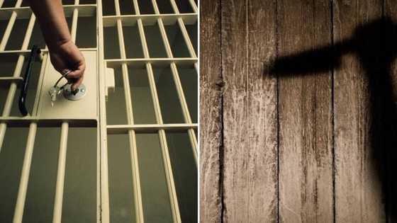 49 -year-old man gets life sentence for stabbing girlfriend to death, SA reacts