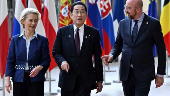 EU, Japan talk cooperation on raw materials