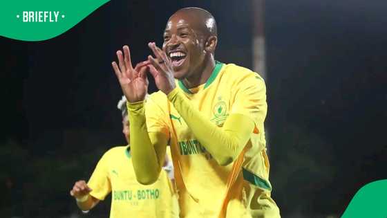 Cardoso gives update on key player's fitness ahead of Sundowns vs Chiefs clash