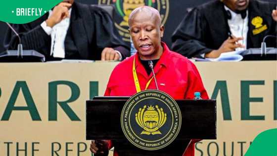 “Show courage”: Malema pushes Ramaphosa to close Israeli embassy