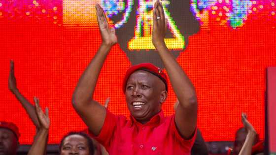 EFF's Julius Malema campaigns in the Free State, encourages land grabbing, promises to fight crime