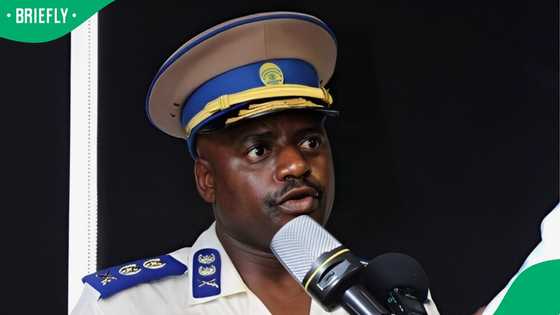 City of Ekurhuleni suspends police chief Julius Mkhwanazi over Madlanga Commission allegations