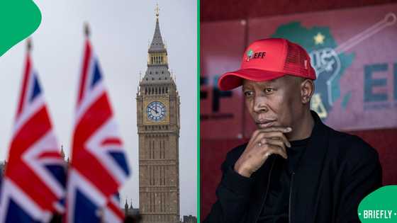 UK denies Julius Malema entry due to extremist views, EFF describes country as an intolerant bully