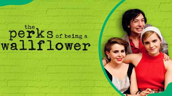 11 movies like The Perks of Being a Wallflower: the best coming-of-age stories