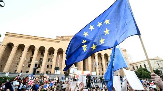 Georgians rally en mass for EU, urge government to quit