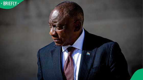 Cyril Ramaphosa vows to pull out all the stops to catch Ekurhuleni killers, South Africans Are Sceptical