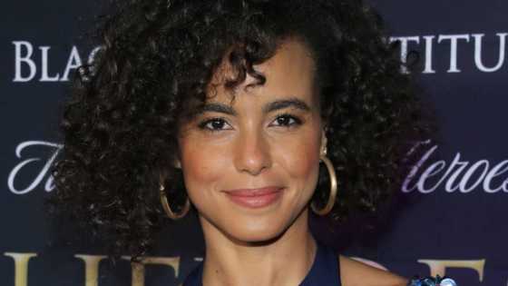 Parisa Fitz-Henley's age, husband, ethnicity, career, profiles, net worth