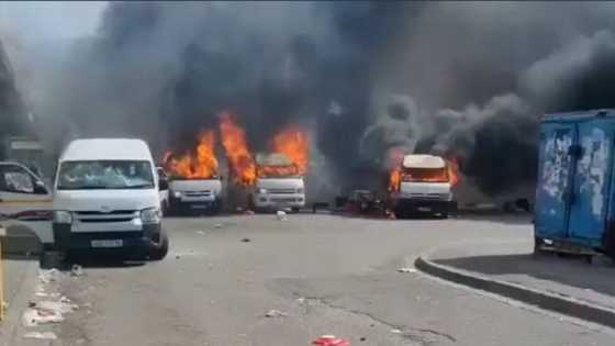 Mzansi responds to 2 Gqeberha shops being petrol bombed: "South Africa is a war zone"