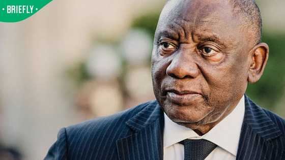 Ramaphosa could be summoned to testify in Phala Phala probe, parliament legal opinion finds
