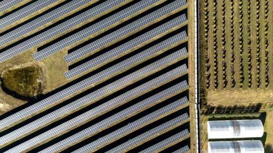 S.Africa's blackouts force solar-powered town to life in the dark