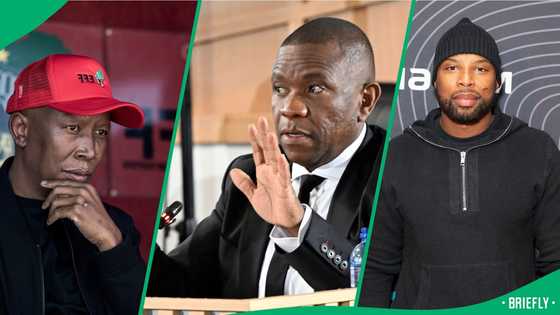 Sizwe Dhlomo weighs in after Julius Malema challenges General Mkhwanazi in parliament