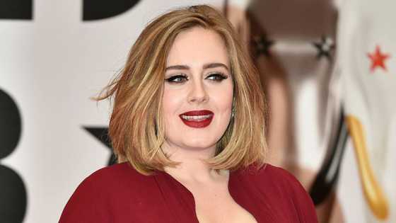Adele won't be paying spousal support after divorce from ex husband