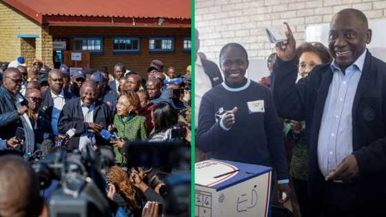 2024 general elections: Stellenbosch University professor predicts under 50% votes for ANC