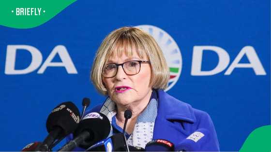 Helen Zille says DA has the numbers to collapse government, leaves SA divided with her statement