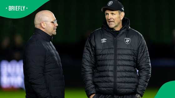 Former Sharks boss Eduard Coetzee lands top job at one of England’s biggest rugby clubs