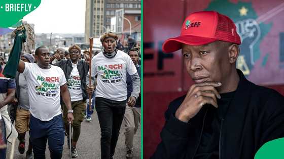 Julius Malema slams March and March, labels movement as a tribalist and vigilante group